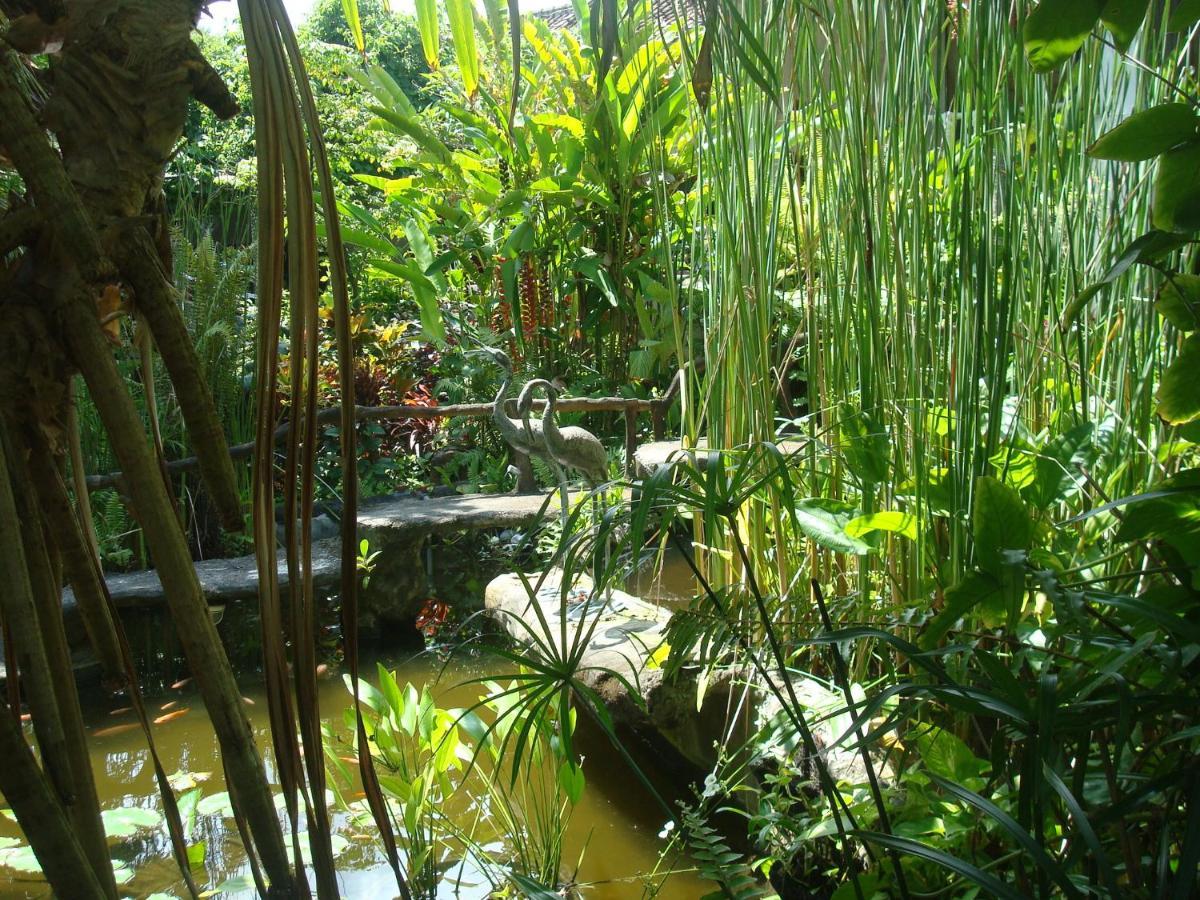 Villa Arjuna Seraya Kültér fotó